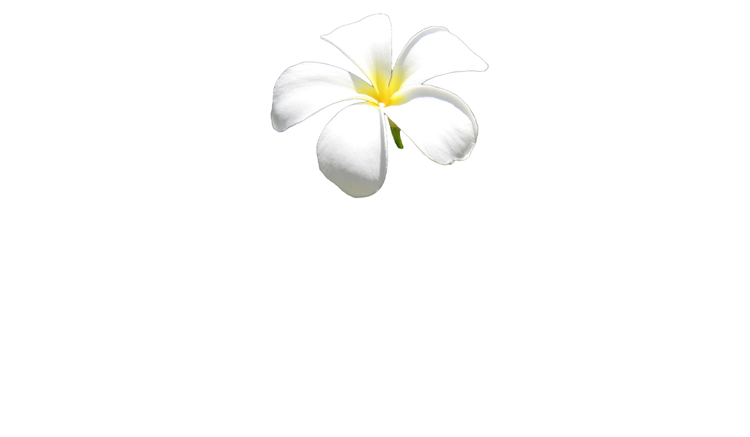 Travelboutique